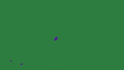 Arrow Looping On Chroma Key For Compositing Stock Footage 338014494