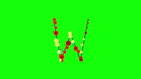 Arrow Looping with Pointing on Green Screen Chroma Key Background Stock Footage 337996478