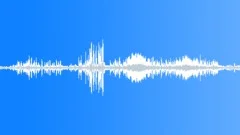 Arrow-marked babblers calling Sound Effect