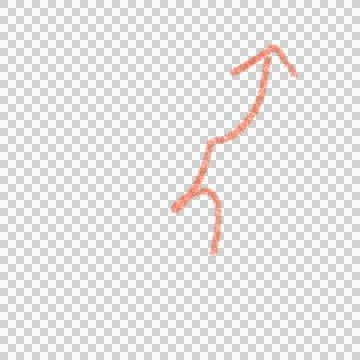 Arrow Stock Photos