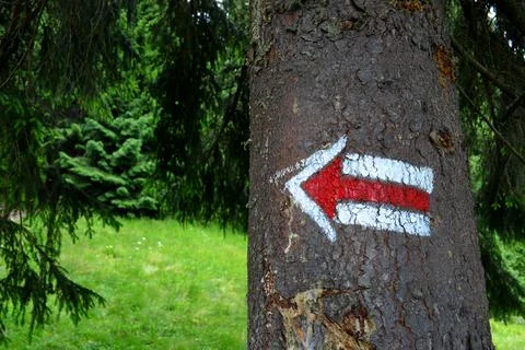 Arrow pointing to the left drawn on a tree Stock Photos