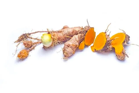 ARROW ROOT Stock Photos