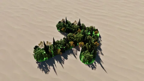 Arrow Shape Forest and Desert Stock Footage 314429942