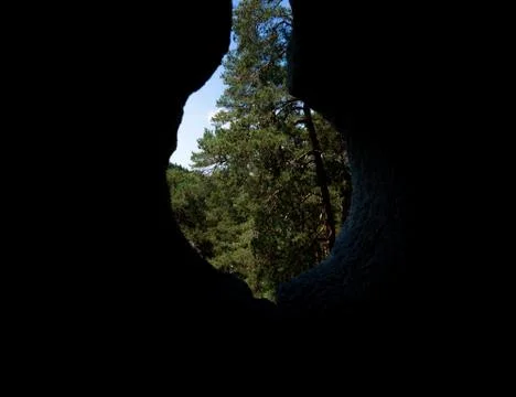 Arrow slit in an old building overlooking a tree Stock Photos