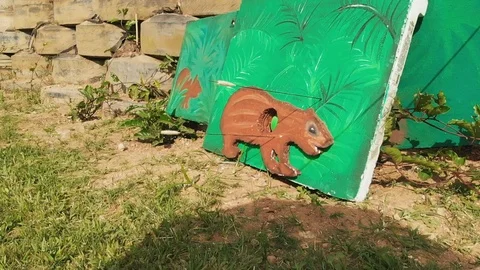 Arrow slow motion on the target 스톡 동영상 115782491