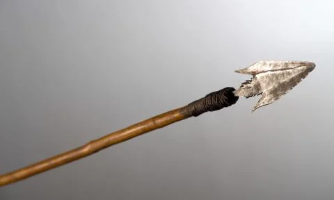 Arrowhead Stock Photos