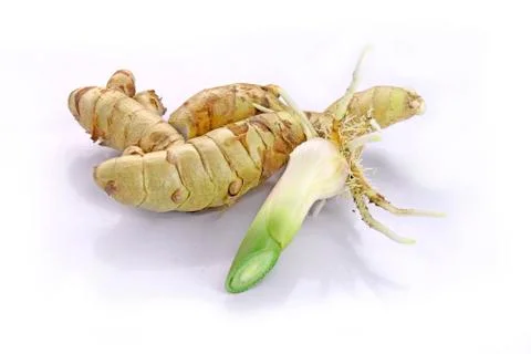 Arrowroot Stock Photos