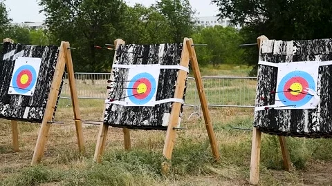 Arrows in archery target on archery range Vídeo Stock 216911089