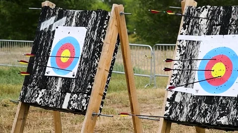Arrows in archery target on archery range Vídeo Stock 216911187