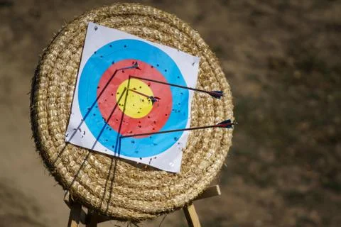 Arrows in archery target on archery range Stock Photos