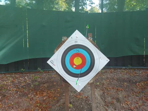 Arrows in the board after a practice round of archery Stock Photos