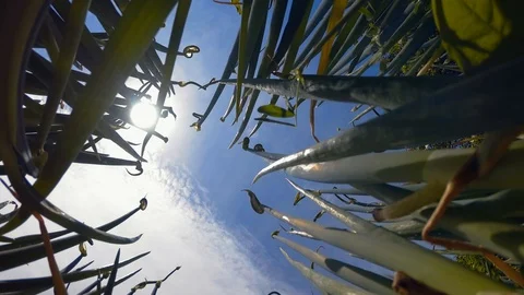 The arrows of the bow oriented upwards. Stock Footage 127710939