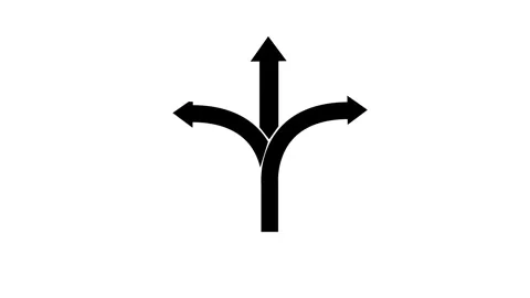 Arrows, direction, choice. Arrows self drawing animation. Stock Footage 263965782