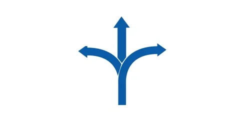 Arrows, direction, choice. Arrows self drawing animation. Stock Footage 263965785