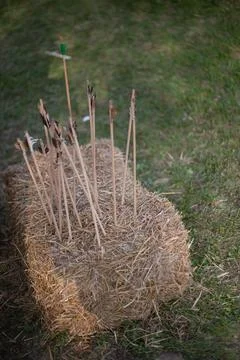 Arrows embedded in a hay bale, ready for archery practice in a field. Stock Photos