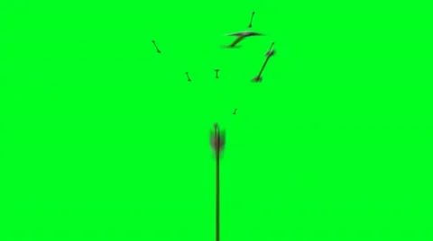 Arrows Flying Towards Camera Stock Footage 14428512