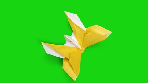 Arrows, Hand Drawn Doodle Arrows on green background with alpha channel.4K .. Stock Footage 264137830
