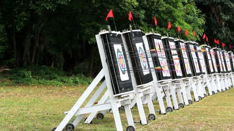 Arrows hit a target 库存影片 35562610