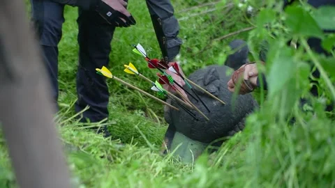Arrows hit a three-dimensional animal-shaped target Video stock 312804651
