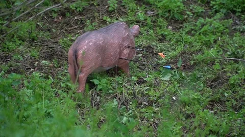 Arrows hit a three-dimensional animal-shaped target. Video stock 312804816