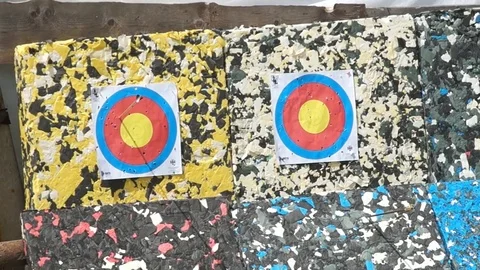 An arrows hitting the target Stock Footage 78260688