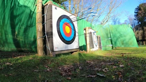 Arrows hitting targets Stock Footage 169111658