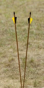 Arrows in nature Stock Photos