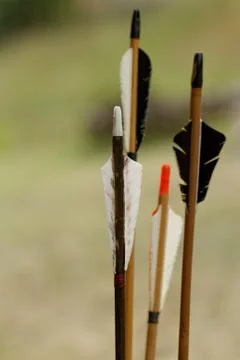 Arrows in nature Stock Photos