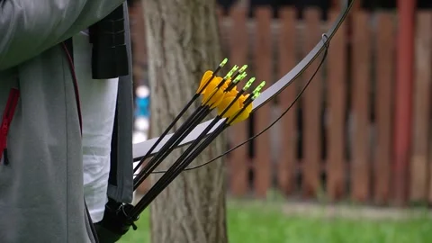 Arrows in the quiver Stock Footage 312804293