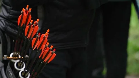 Arrows in the quiver Stock Footage 312804360