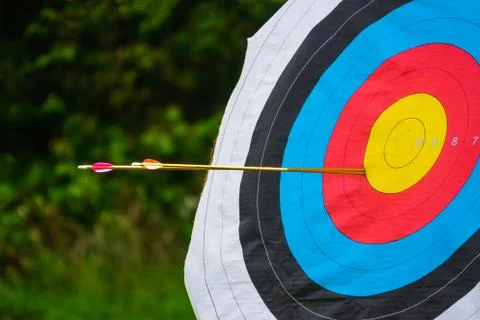 Arrows in a Target at an Archery Competition Stock Photos