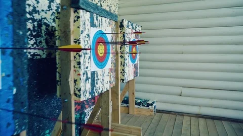 Arrows at the target Stock-Footage 81928769