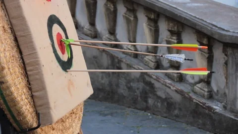 Arrows in target Stock Footage 126091540