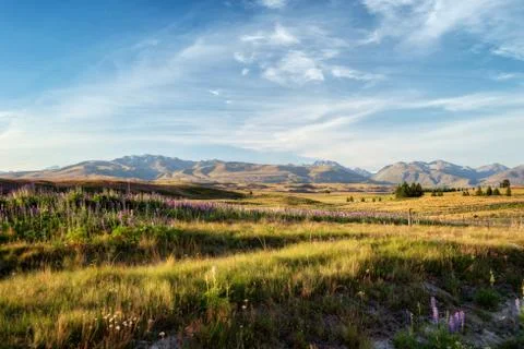 Arrowtown Stock Photos