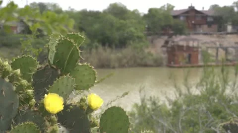 Arroyo Colorado Stock Footage 11870614