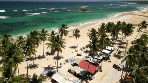 Arroyo saldo tropical beach life 05 스톡 동영상 325532553