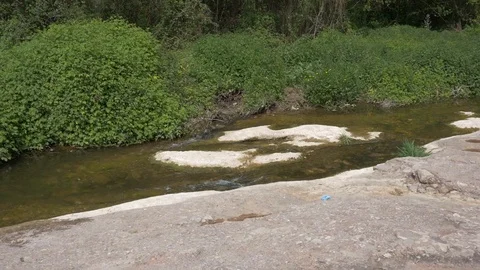 Arroyo stream rio river water agua plants plantas Stock Footage 109177053