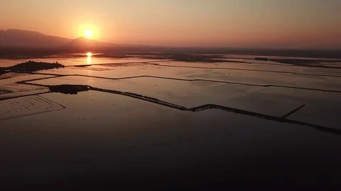 Arrozales 库存影片 82717949