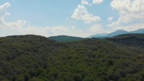 Arslanbob Large Wild Walnut Forest in Jalal-abad. Arial Dron Shoot. Stock Footage 97290772