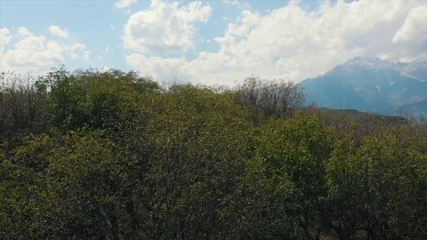 Arslanbob Large Wild Walnut Forest in Jalal-abad. Arial Dron Shoot. Stock Footage 97291208