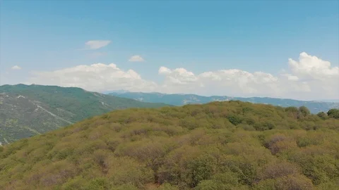 Arslanbob Large Wild Walnut Forest in Jalal-abad. Arial Dron Shoot. Stock Footage 97291301