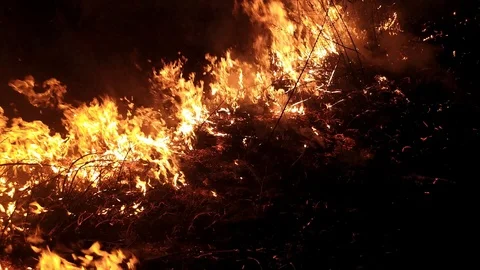 Arson. Dry grass is burning, night time. Fire damages the environment, 4K Stock Footage 123874660