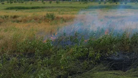 Arson on the field Stock-Footage 82803965