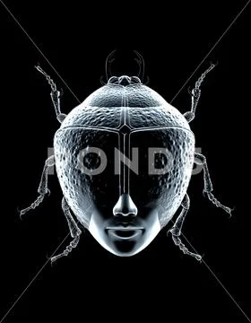 Art 3D graphics; digital graphics; mysticism, insects; beetles Stock Illustration