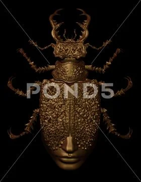 Art 3D graphics, mysticism, insects; beetles Stock Illustration