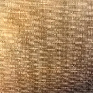 Art abstract painted background in brown colors Stock Illustration