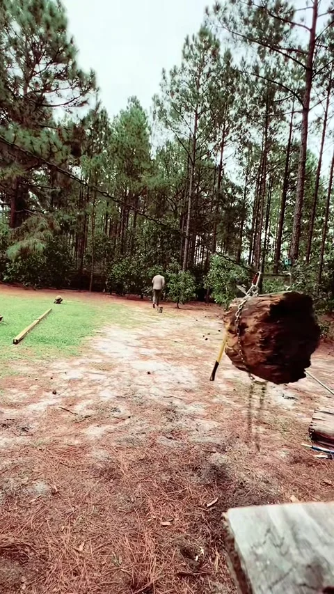 The Art of Axe Throwing - 23 Apr 2025 Stock Footage 313838283