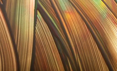 Art background Stock Photos