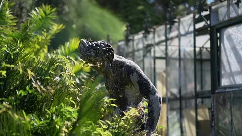 Art in botanic garden Stock Footage 105083120