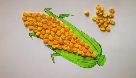 Art with corn Stock Photos